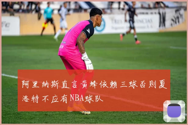 阿里纳斯直言黄蜂依赖三球否则夏洛特不应有NBA球队